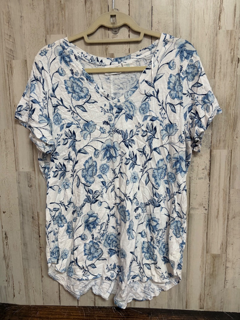 WHITE CYTNTHIA ROWLEY FLOWER TOP, LADIES 1X