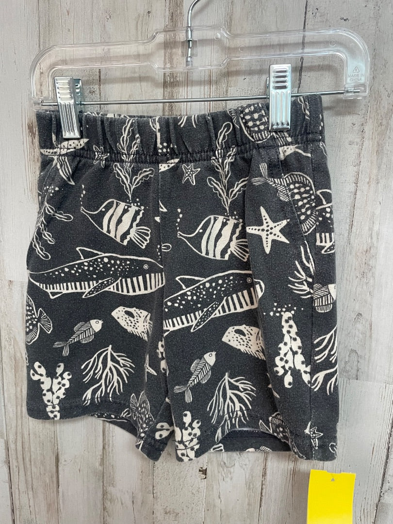 GREY CARTERS FISH COTTON SHORTS, BOY 4T