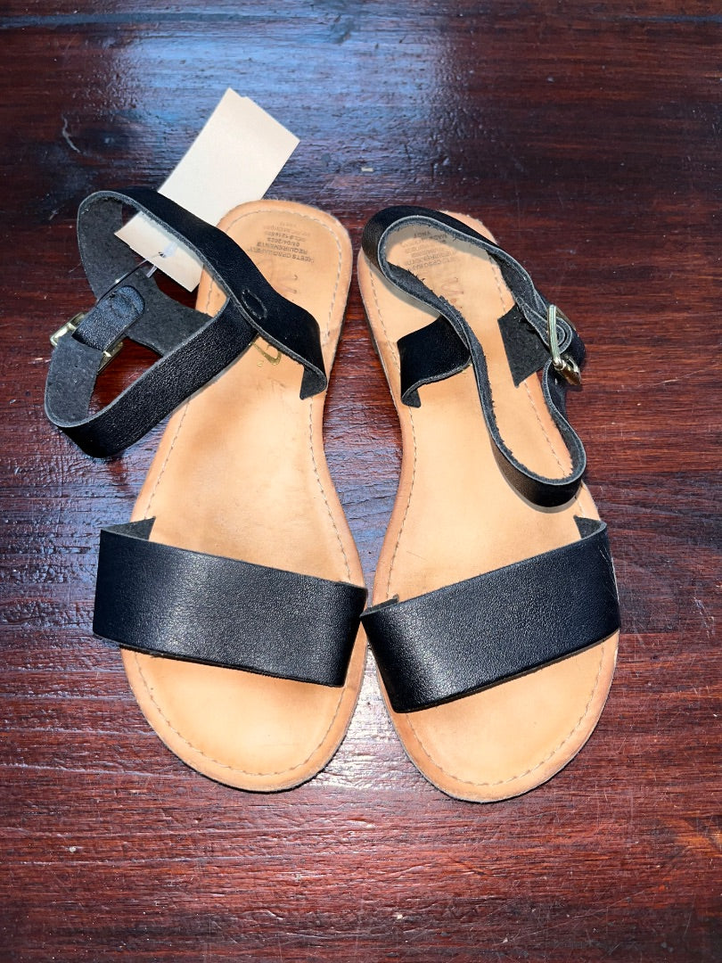 BLACK JELLYPOP BUCKLE STRAP SANDALS, SHOES 12