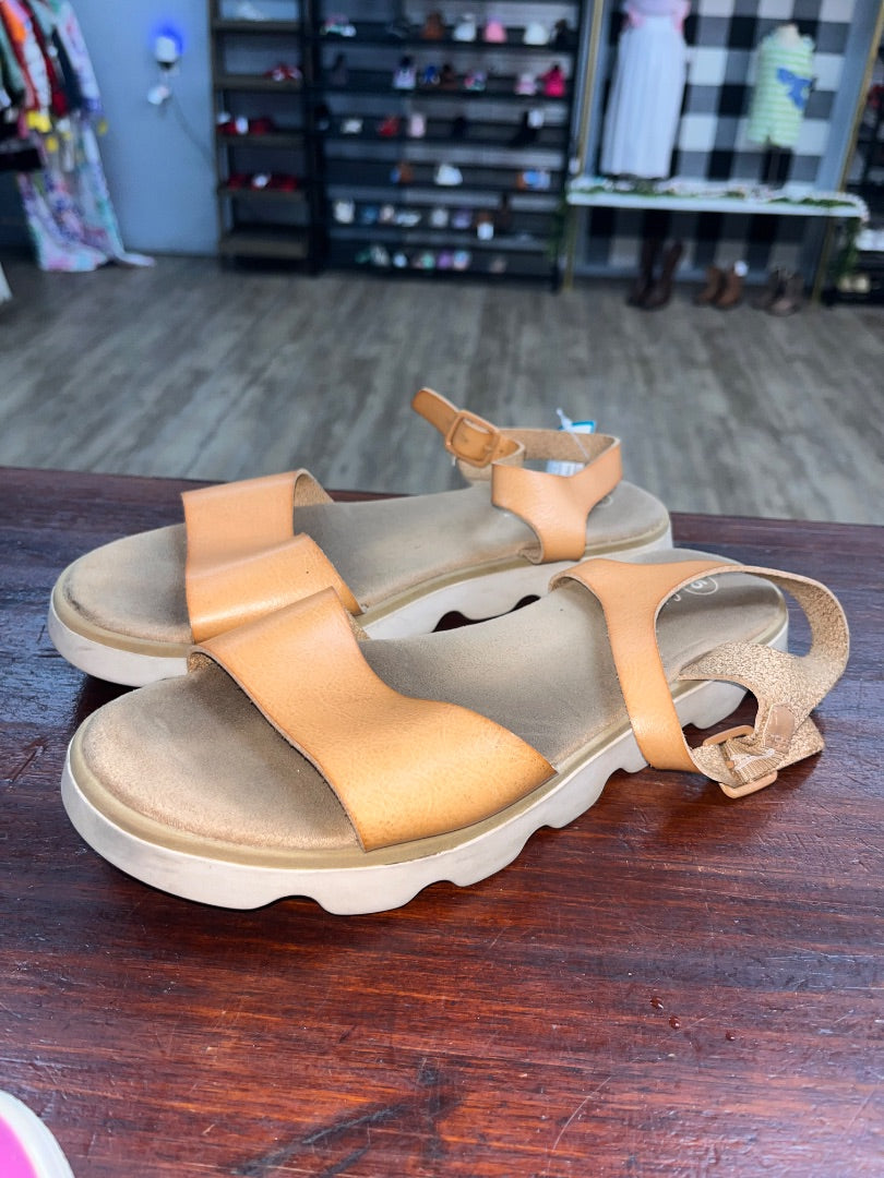 CAMEL CAT & JACK STRAP BUCKLE SANDALS, SHOES Y5