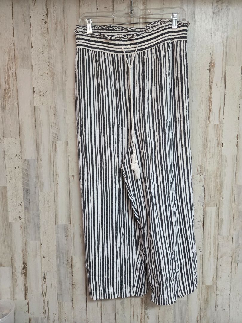 WHITE/BLACK TERRA & SKY STRIPED PANTS, LADIES 4X