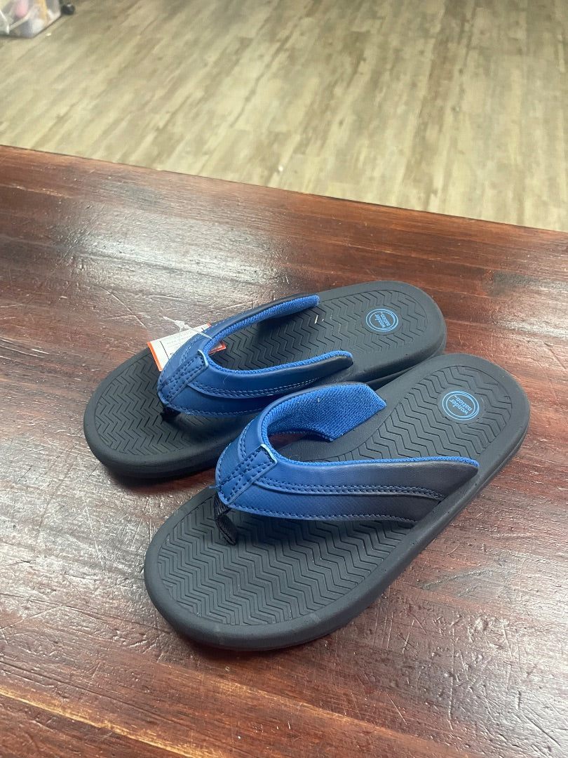 BLUE WONDER NATION FLIP FLOPS, SHOES Y2/3