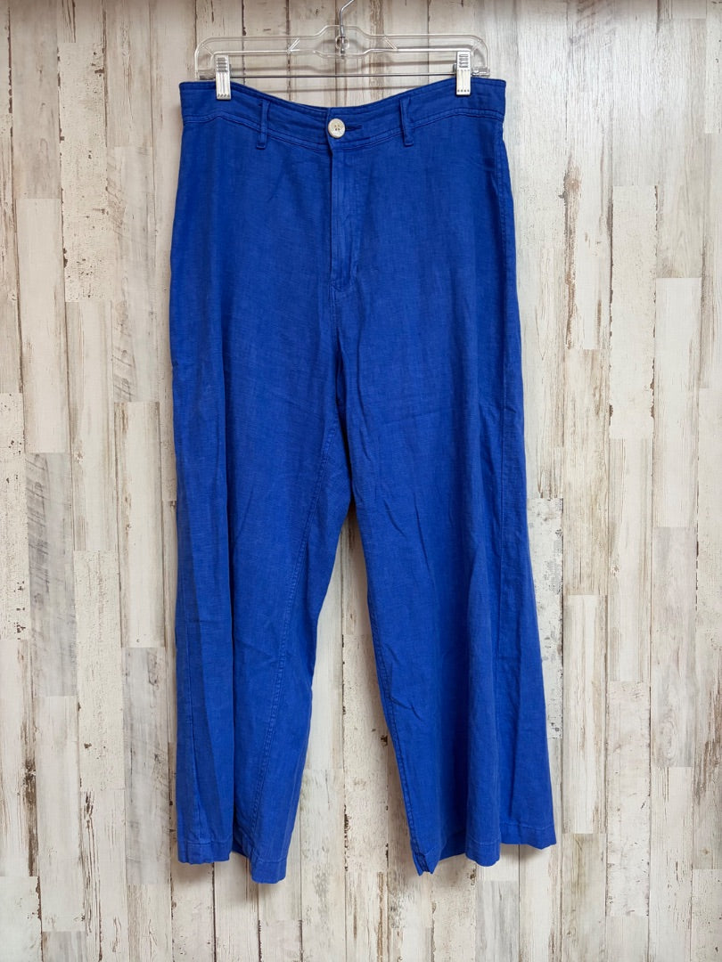 BLUE DEAR JOHN SZ29 LINEN PANTS, LADIES M