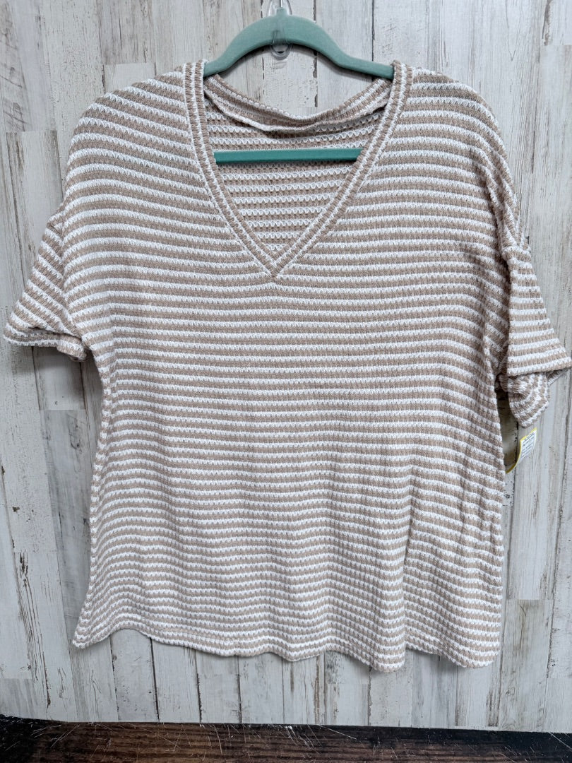 BEIGE/WHITE SHEIN KNIT VNECK TOP, LADIES L